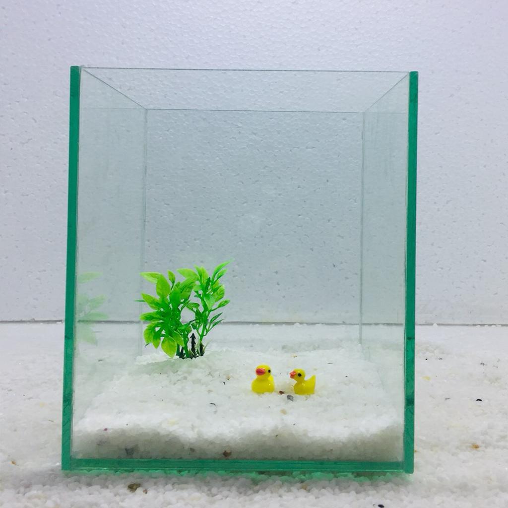 Bể cá mini để bàn , bể cá thủy sinh mini 18x18x23cm