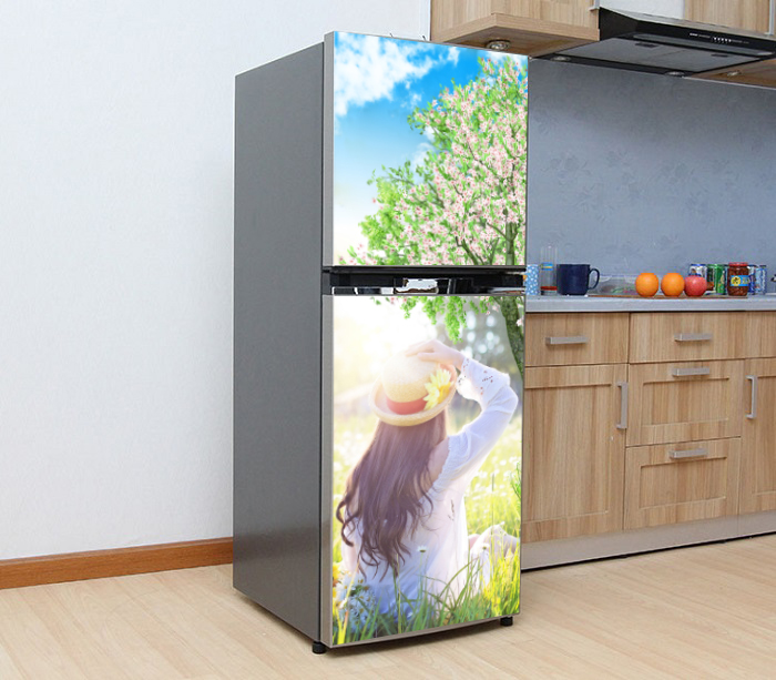 [HCM]DECAL DÁN TRANG TRÍ TỦ LẠNH HÌNH CÔ GÁI