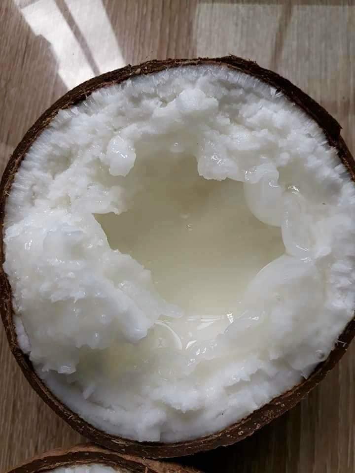 Dừa sáp loai 1 siêu ngon