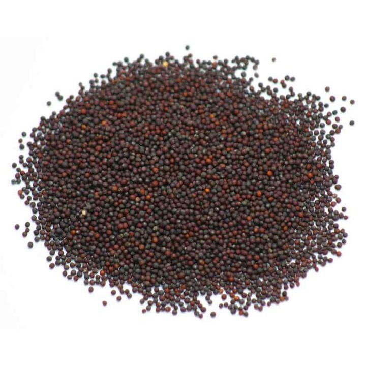 Hạt giống rau mầm bông cải xanh 100gr