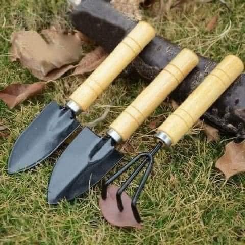 Bộ cuốc xẻng làm vườn mini sét 3 chiếc cực xinh