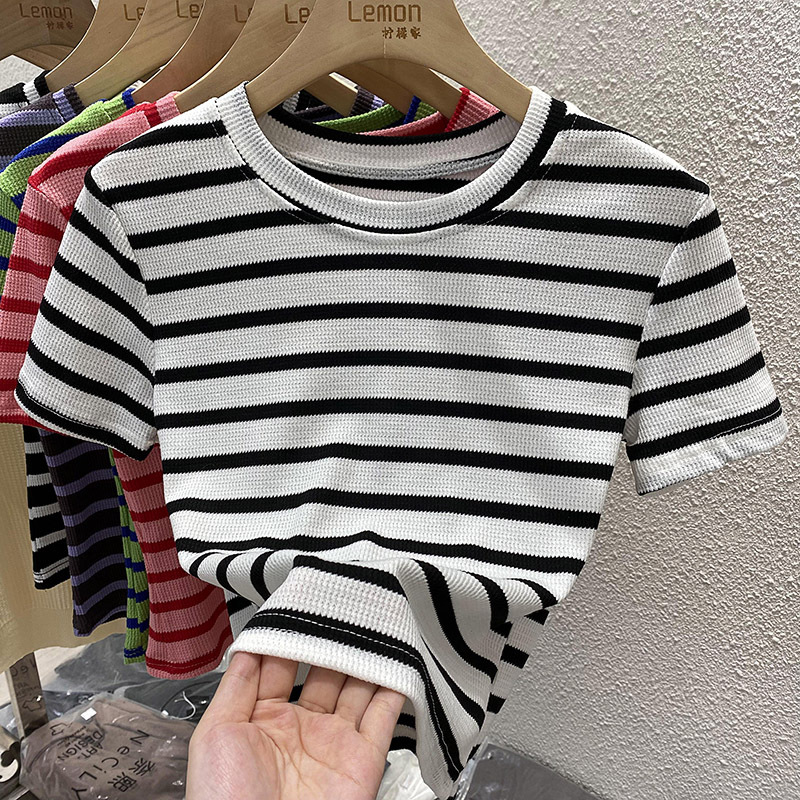 MS679 Áo thun len tăm nữ cổ tròn kẻ ngang basic