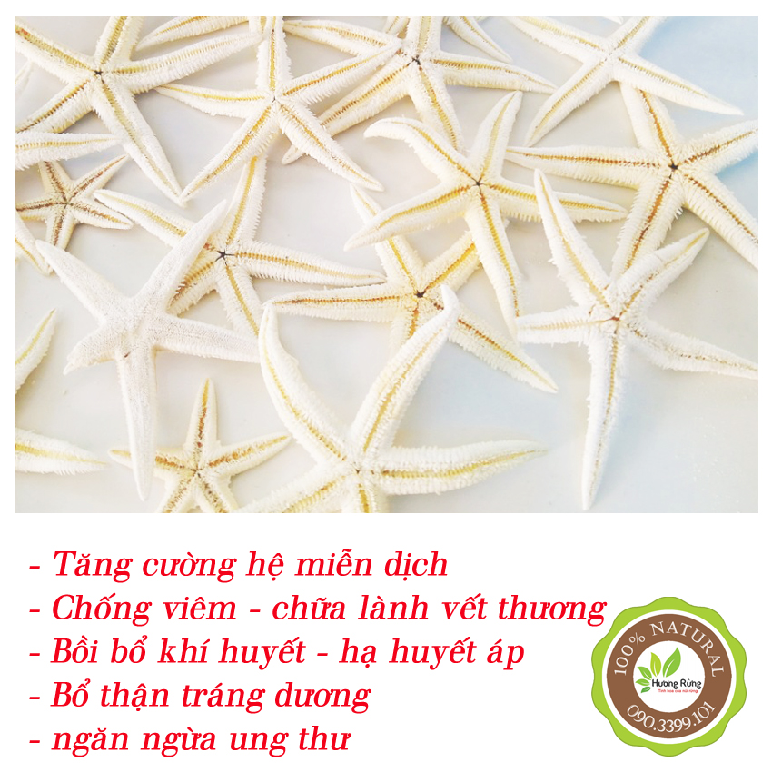 Sao biển khô 5 con, bổ thận tráng dương