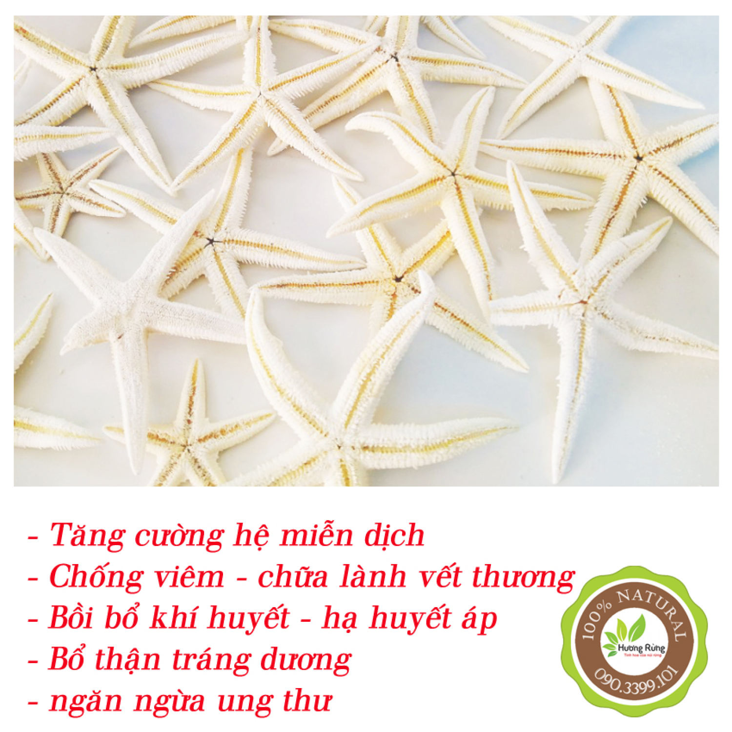 Sao biển khô 5 con, thượng hạng, bổ thận tráng dương