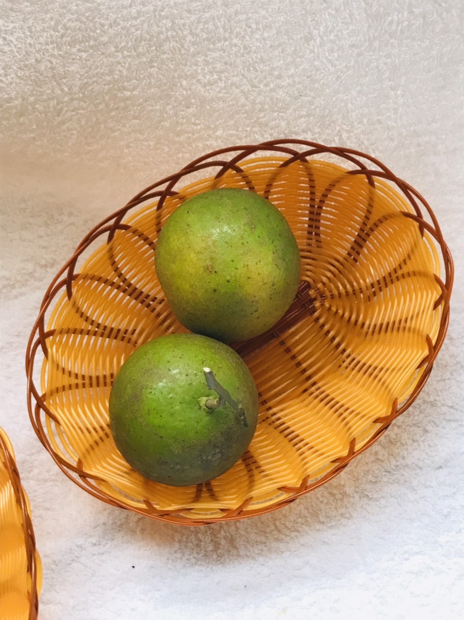 Rổ nhựa giả mây hình tròn và oval