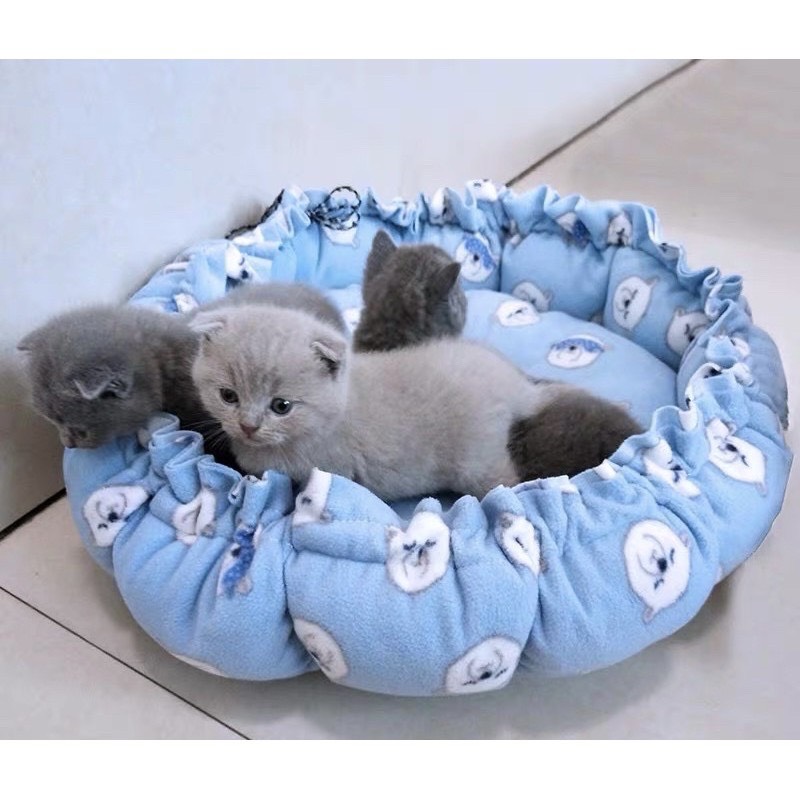 Nệm / thảm rút 2in1 cho chó mèo
