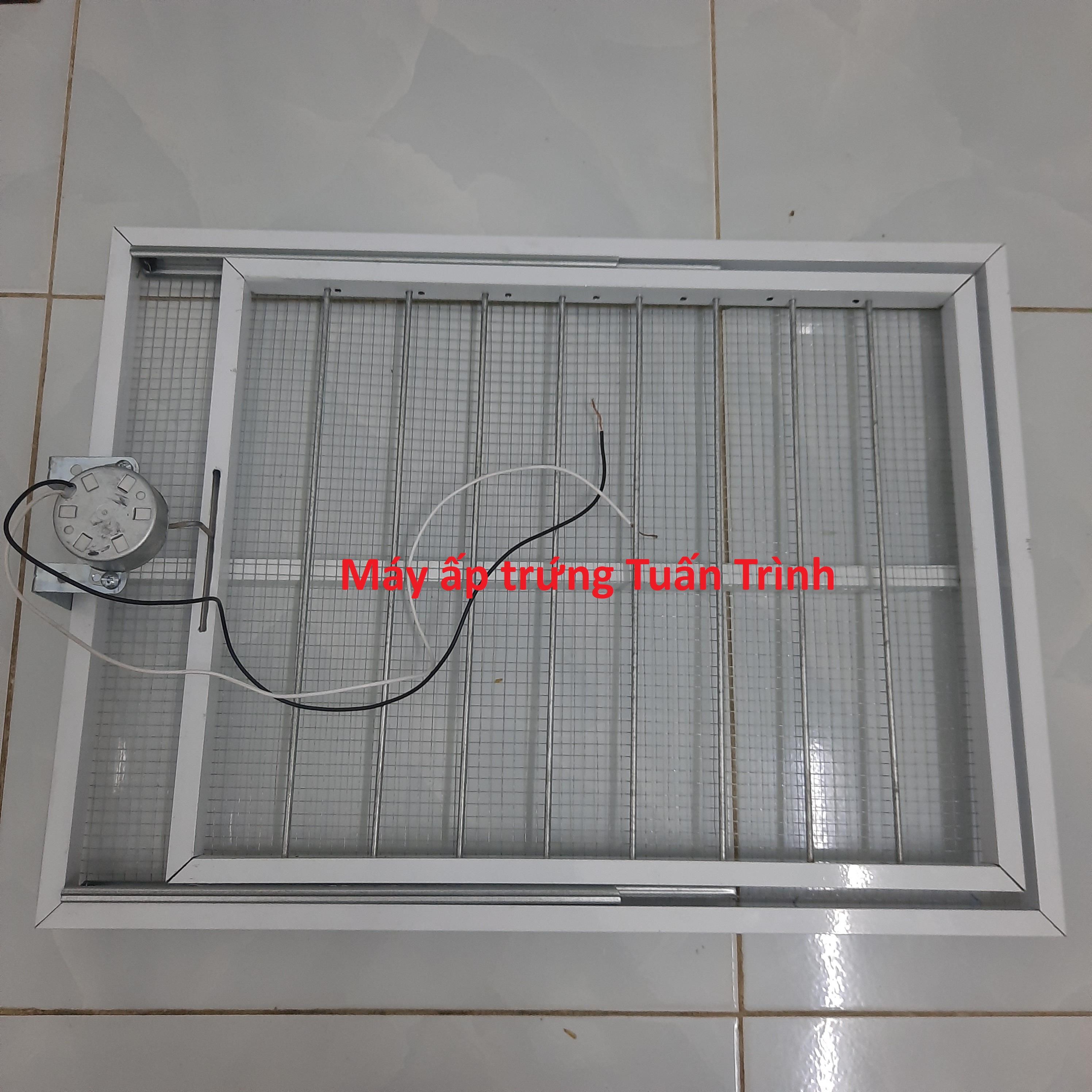 Motor đảo trứng