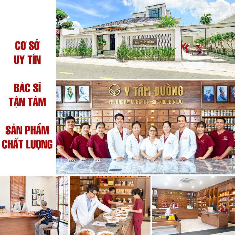Bát trân thang - Ích khí bổ huyết
