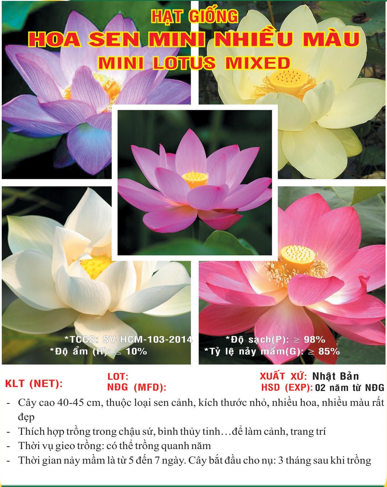 Hạt giống hoa Sen Mini Nhật nhiều màu VTS152 | Vạn Tín Store