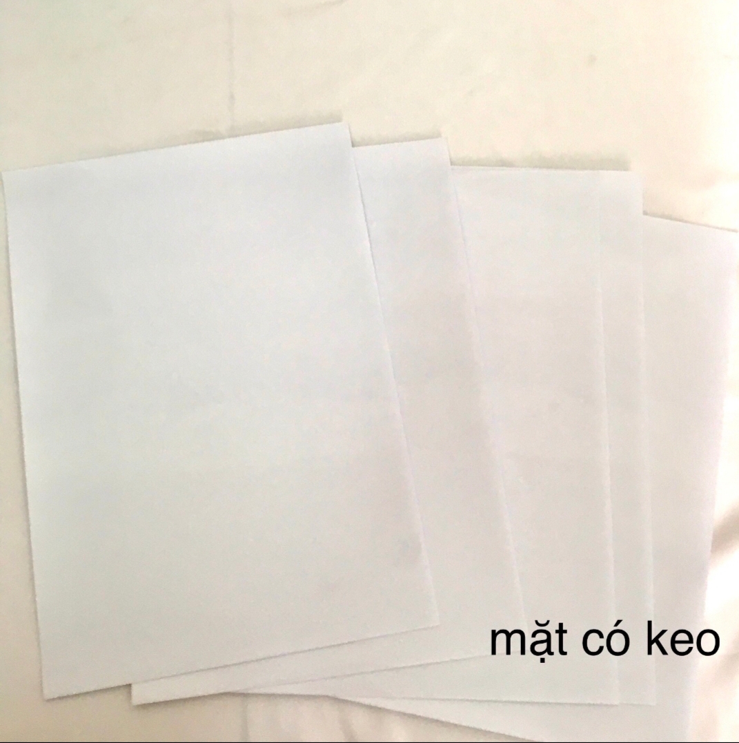 [HCM]Giấy In Nhiệt Decal Đế Trong A4, A3