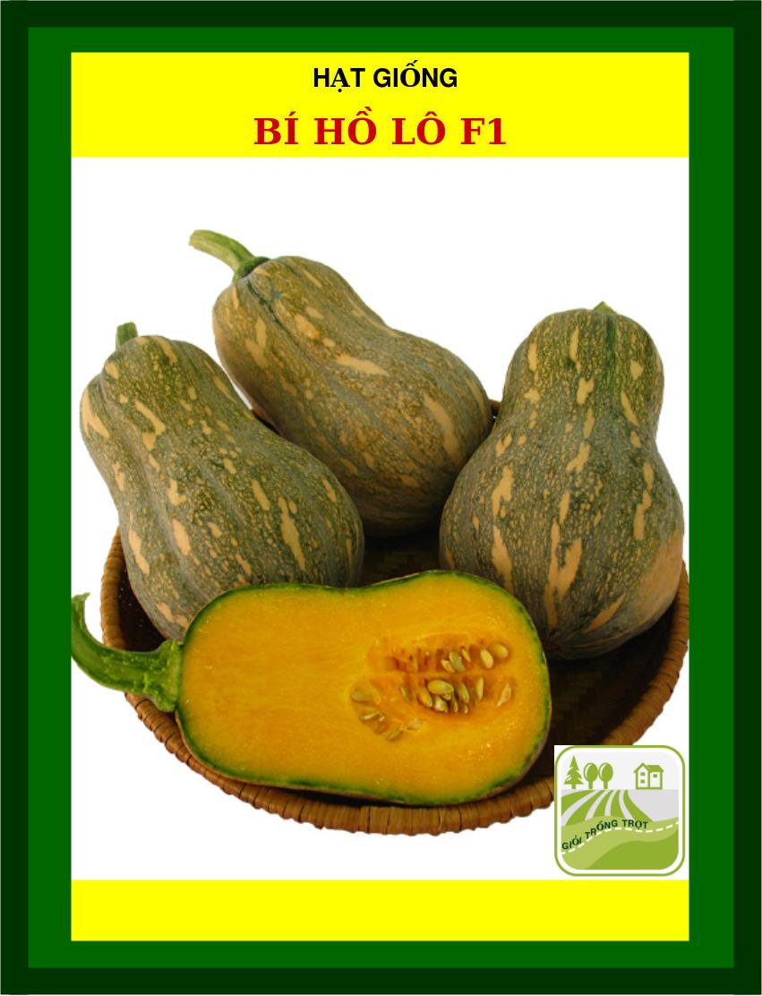 Hạt Giống Bí Hồ Lô - 2Gram