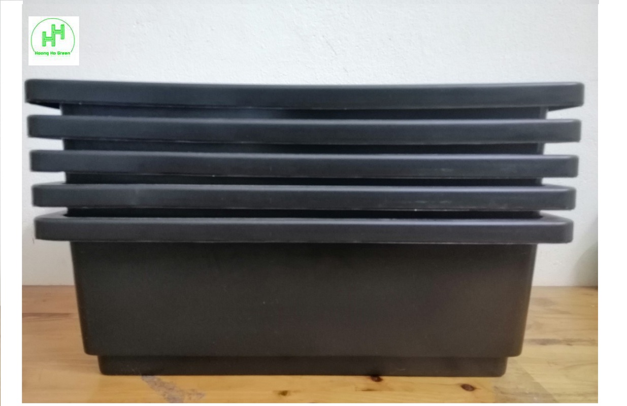 5 Khay Nhựa Trồng Rau Kích Thước 47X33X16CM - Màu Đen