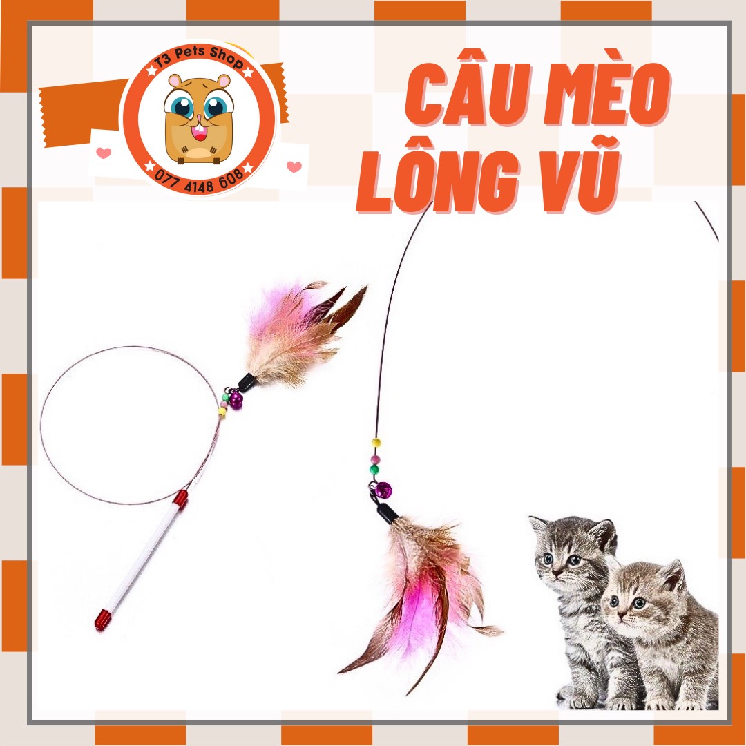 đồ chơi Cây câu mèo dài và lông vũ bằng thép - T3 PETS SHOP