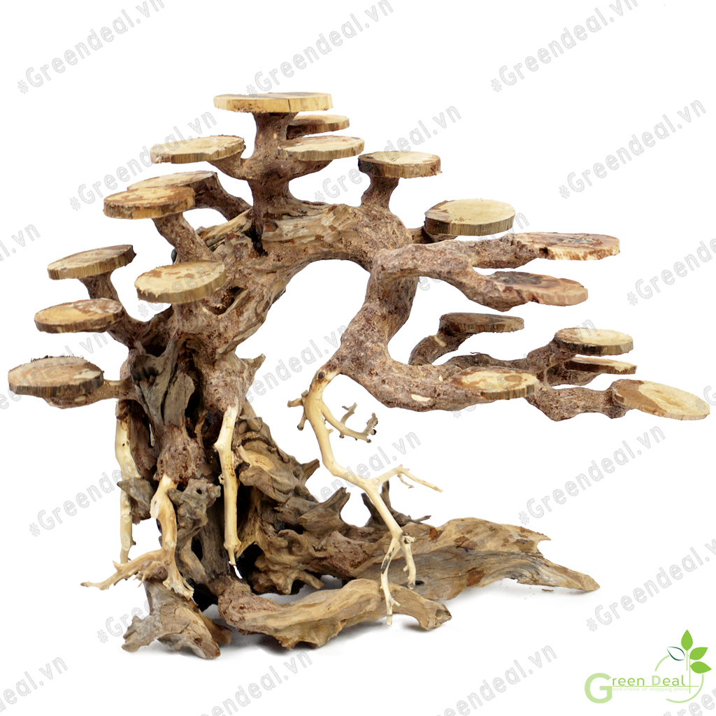 Bonsai Driftwood (GH-BS/02) | Lũa Bonsai trang trí hồ cá thủy sinh