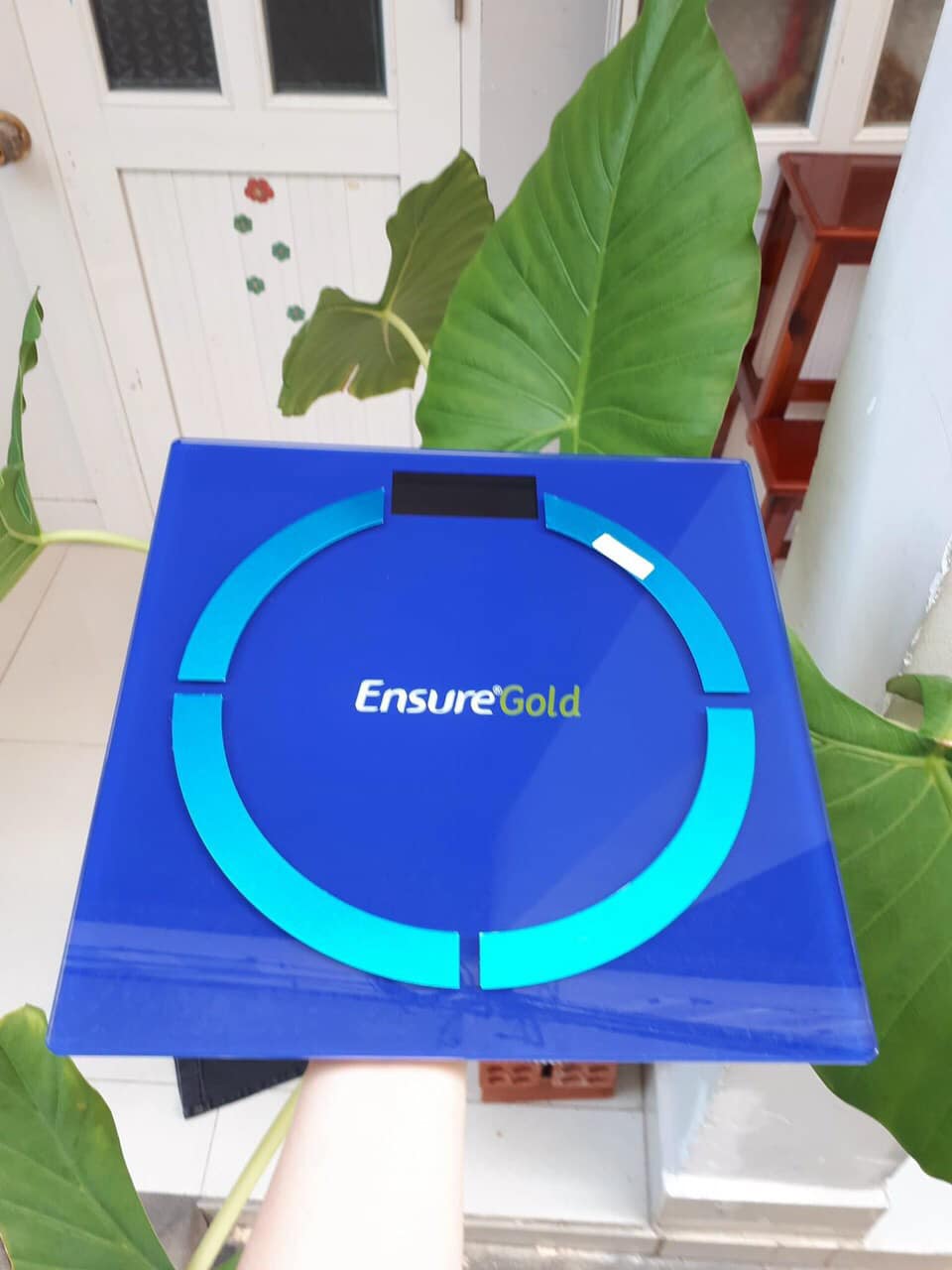 Cân Ensure Gold Mẫu Mới