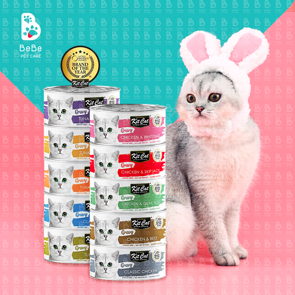 [Combo 10 - 12 Lon] Pate KITCAT GRAVY Dạng Sốt Cho Mèo Mọi Lứa Tuổi