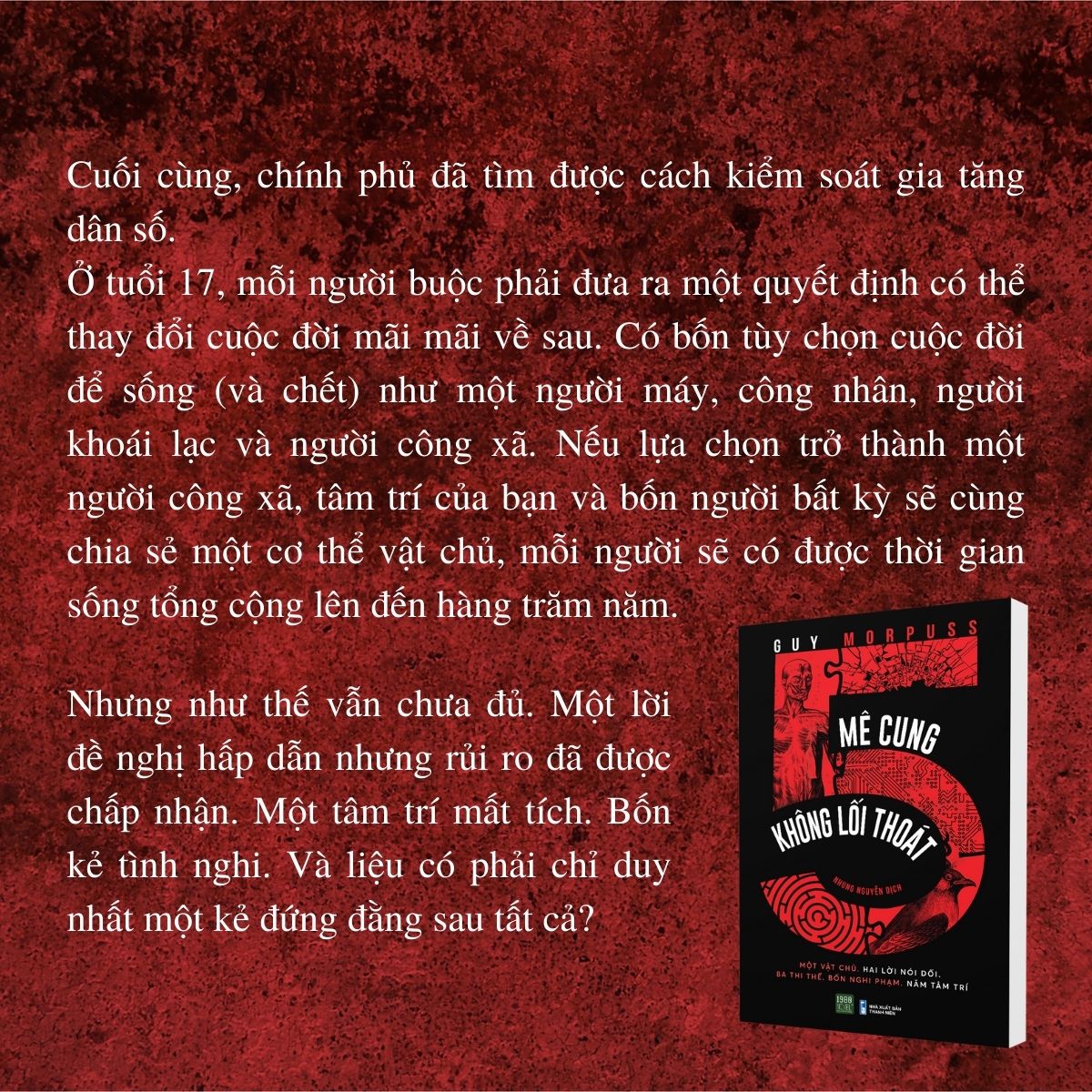 Sách - Mê Cung Không Lối Thoát