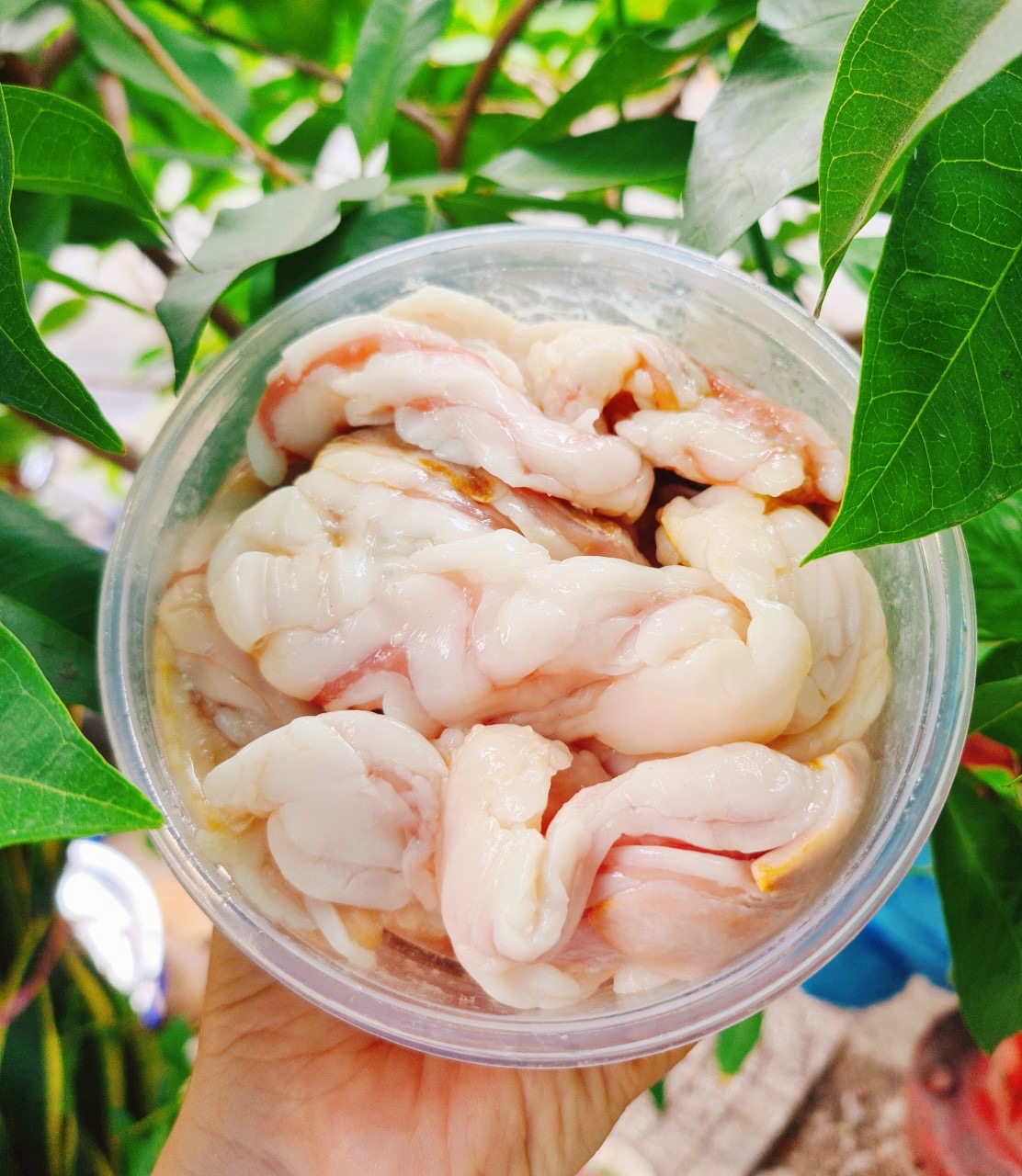 Ruột cá lóc làm sạch 1kg