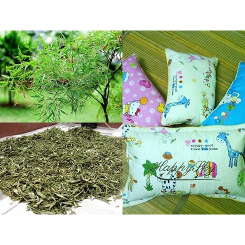 Gối lá đinh lăng cho bé 0 - 12 tuổi
