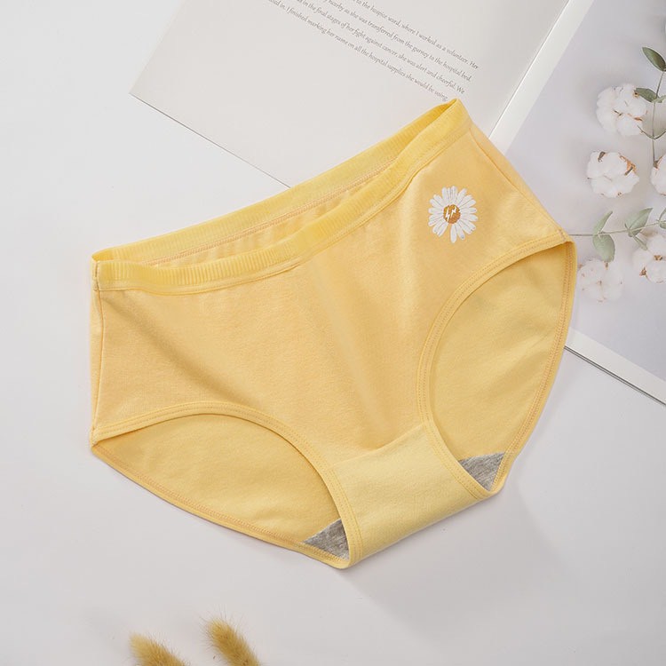 Quần lót nữ cotton, quần lót nữ hoa cúc, thấm hút, co giãn 4 chiều, hàng quảng châu (QL16+1)