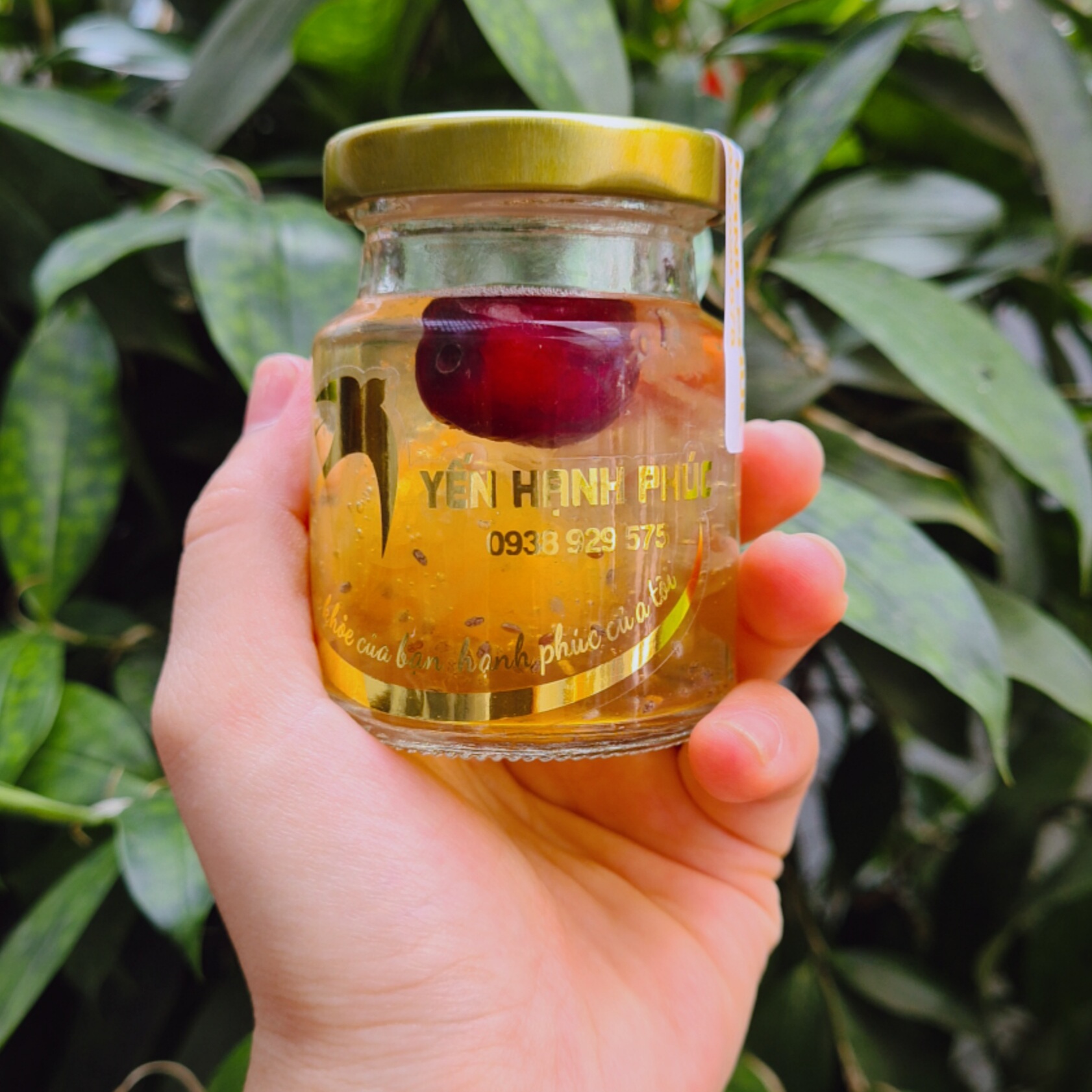 COMBO 5 SET TỔ YẾN CHIA SẴN