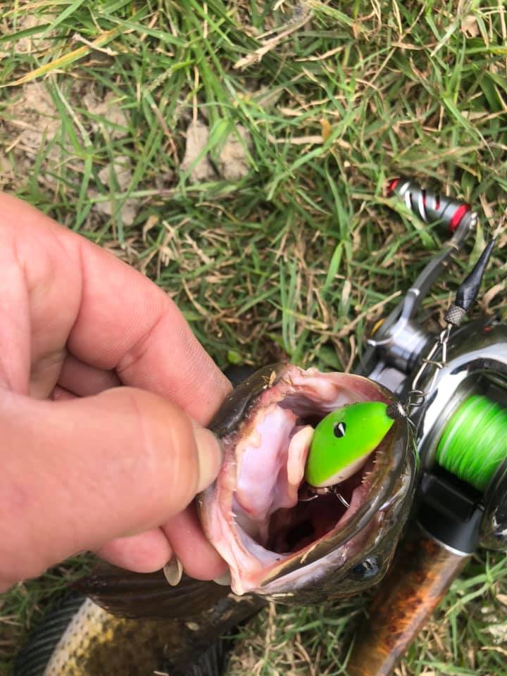 [HCM]Mồi lure chìm F35 TNTlures