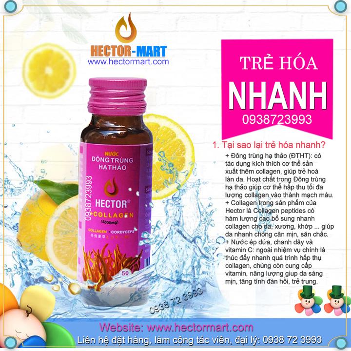 Nước Uống Đông trùng hạ thảo HECTOR COLLAGEN (Hộp 10 Chai)