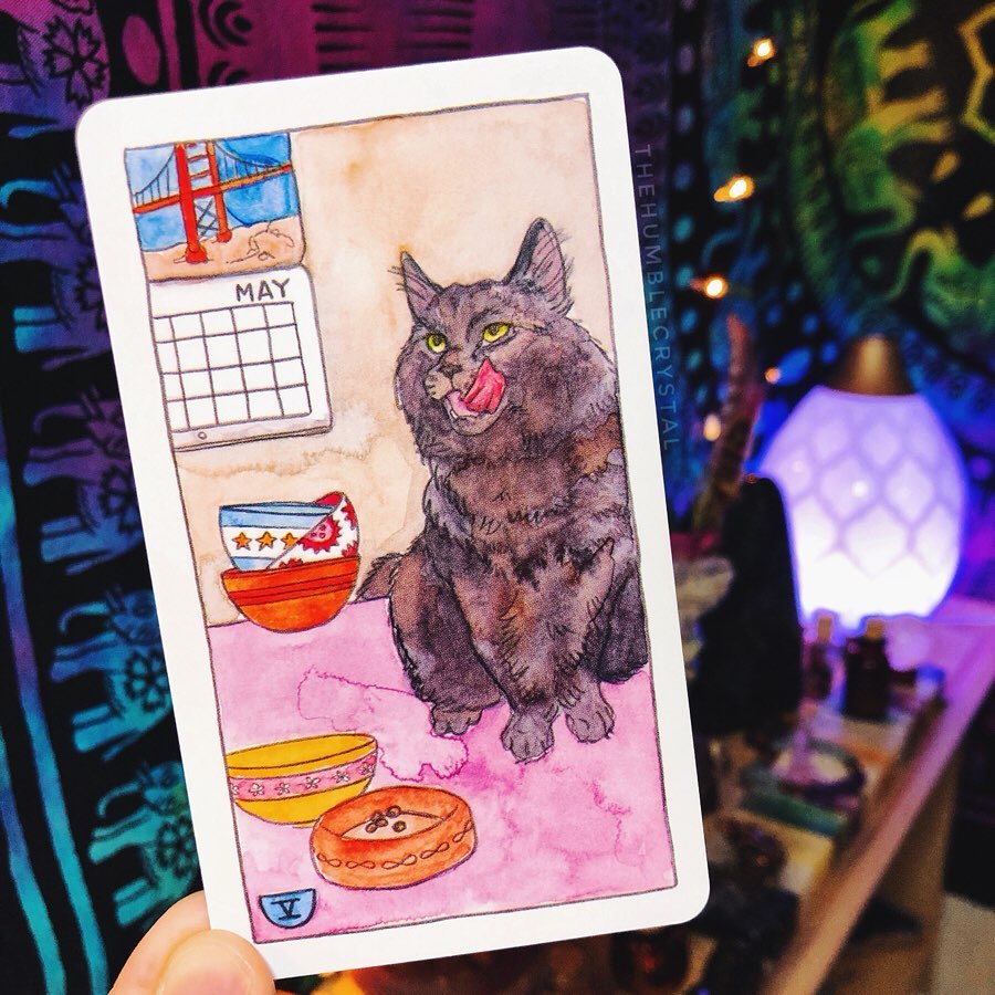 [Size Gốc] Bộ bài Bài Cat Tarot