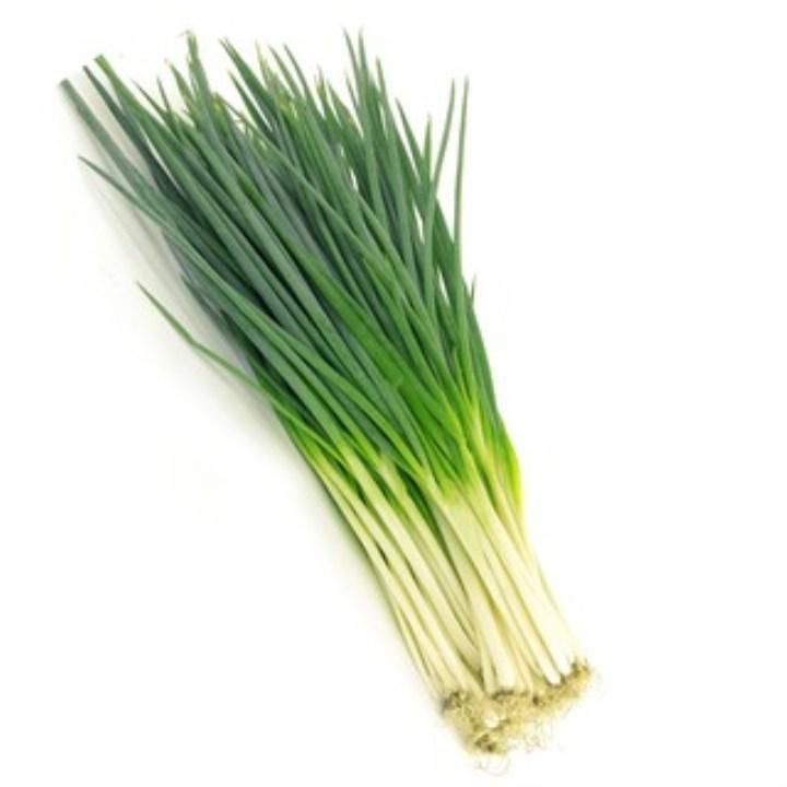 5gr hạt giống hành ta - Hành hương