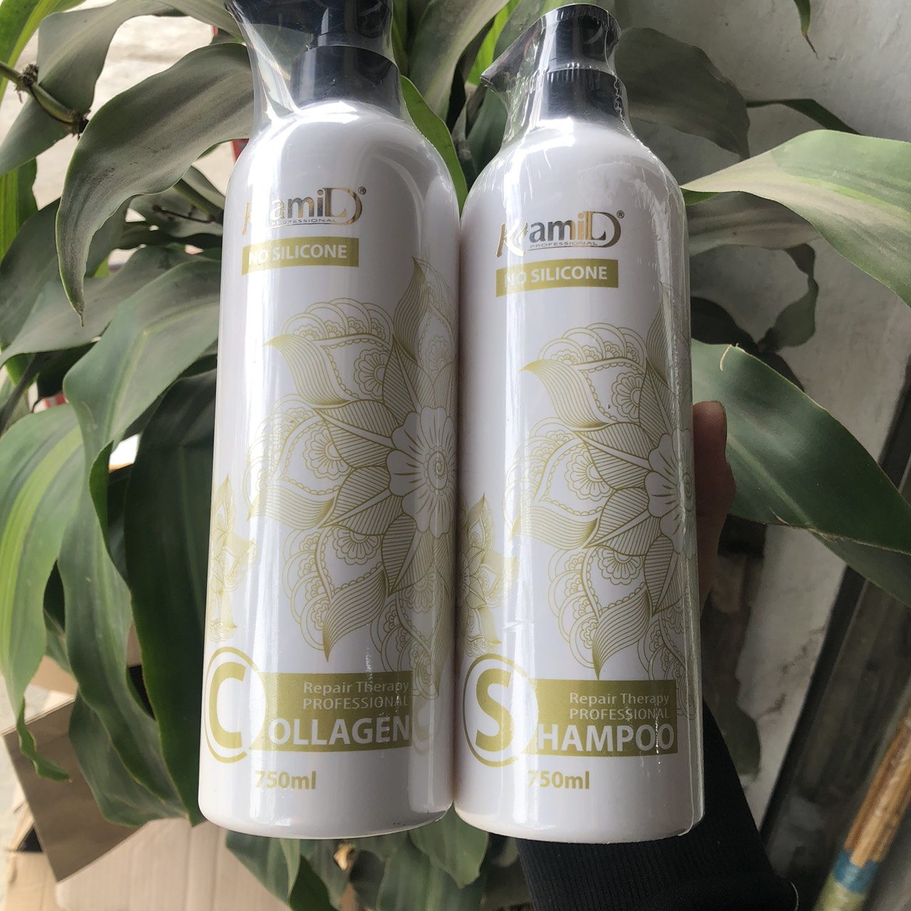 Dầu gội dầu xả kami Collagen