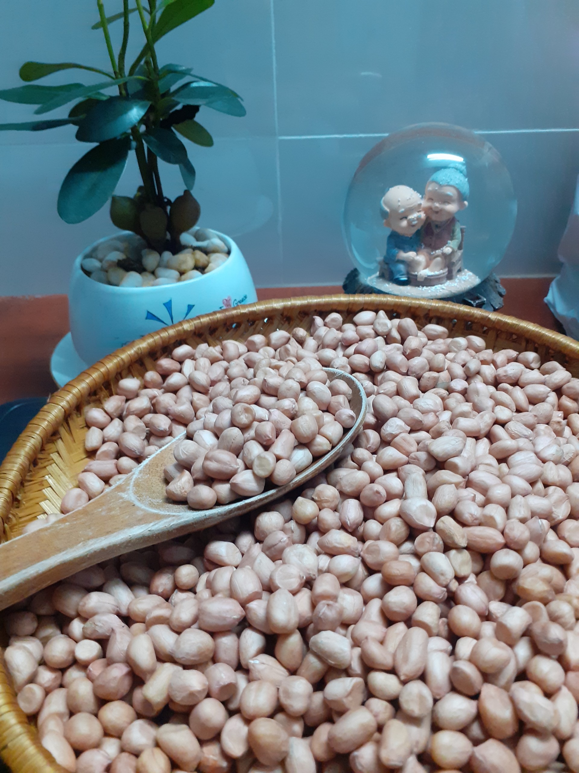 đậu phộng quê hương (hạt lạc sống)