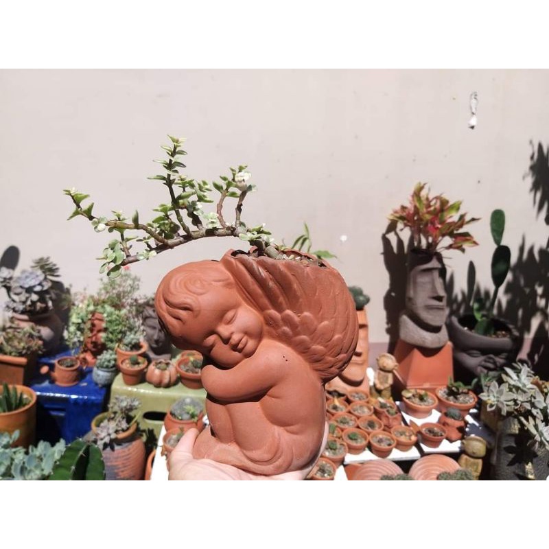 Chậu đất nung hình thiên thần nhỏ
