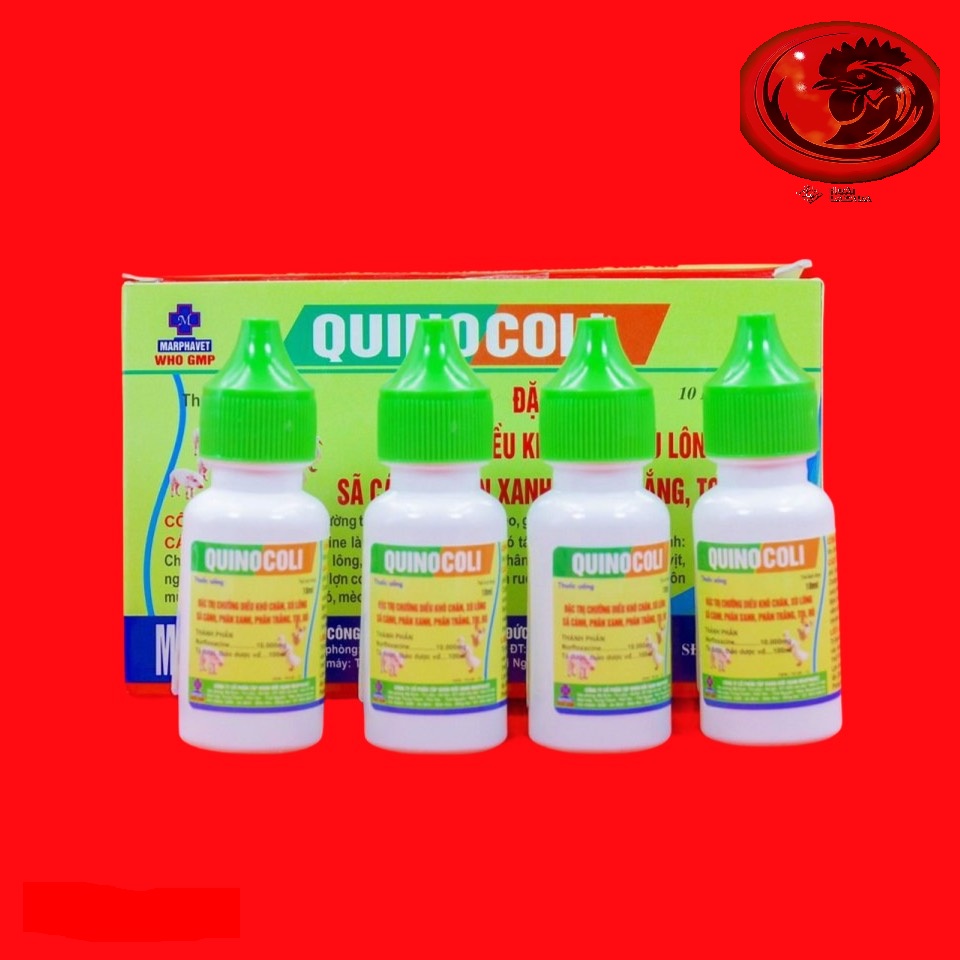 COMBO 4 LỌ QUINOCOLI đặc trị phân xanh, phân trắng cho gà đá
