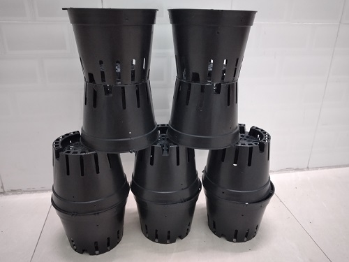 COMBO 10 Chậu nhựa trồng lan size 16