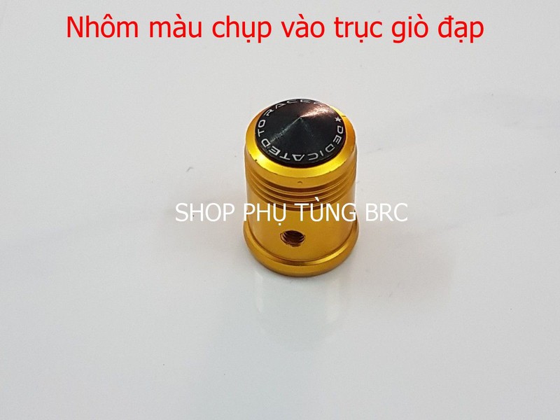 Nhôm màu chụp trục giò đạp xe máy hãng YAMAHA ( SL: 1 cái)