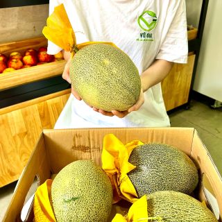 VG FARM Dưa Lưới Premium Melon Trái Dài Ruột Cam 1,5kg - 1,7kg giòn, ngọt thumbnail