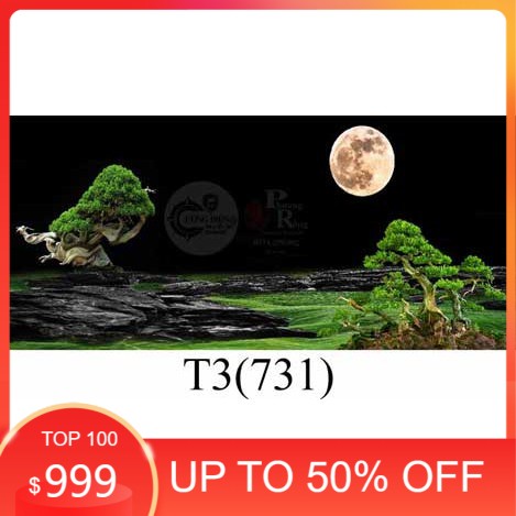Tranh 3D dán bể cá cảnh hồ thuỷ sinh