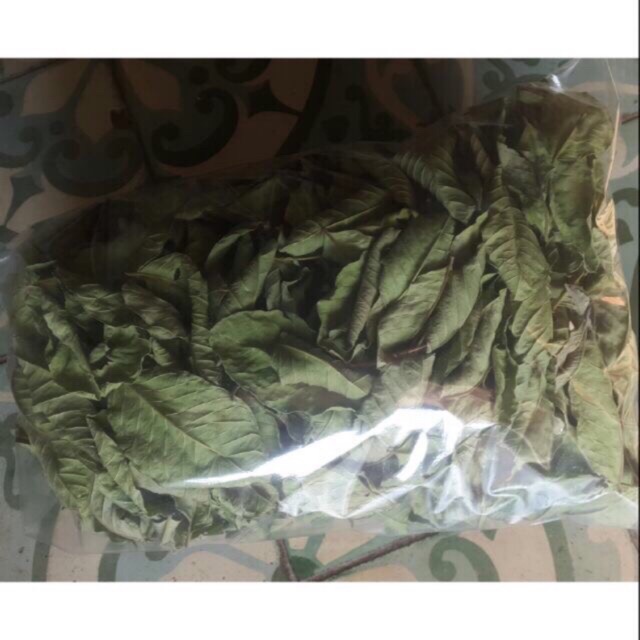 200gr lá ổi khô hàng loại 1 GT207