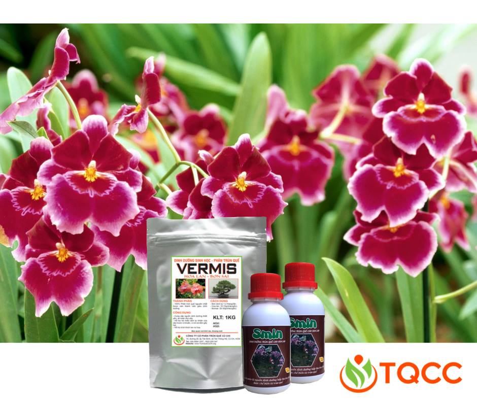 phân trùn quế dạng nén viên cho hoa lan tan chậm vermis