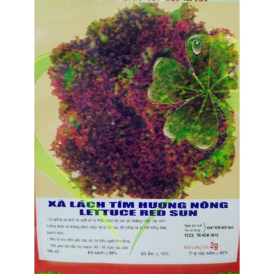 Hạt giống xà lách tím - Gói 2g
