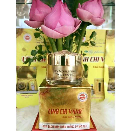 Kem Linh Chi Vàng Mụn Thâm Trắng Da Mờ Sẹo 25g