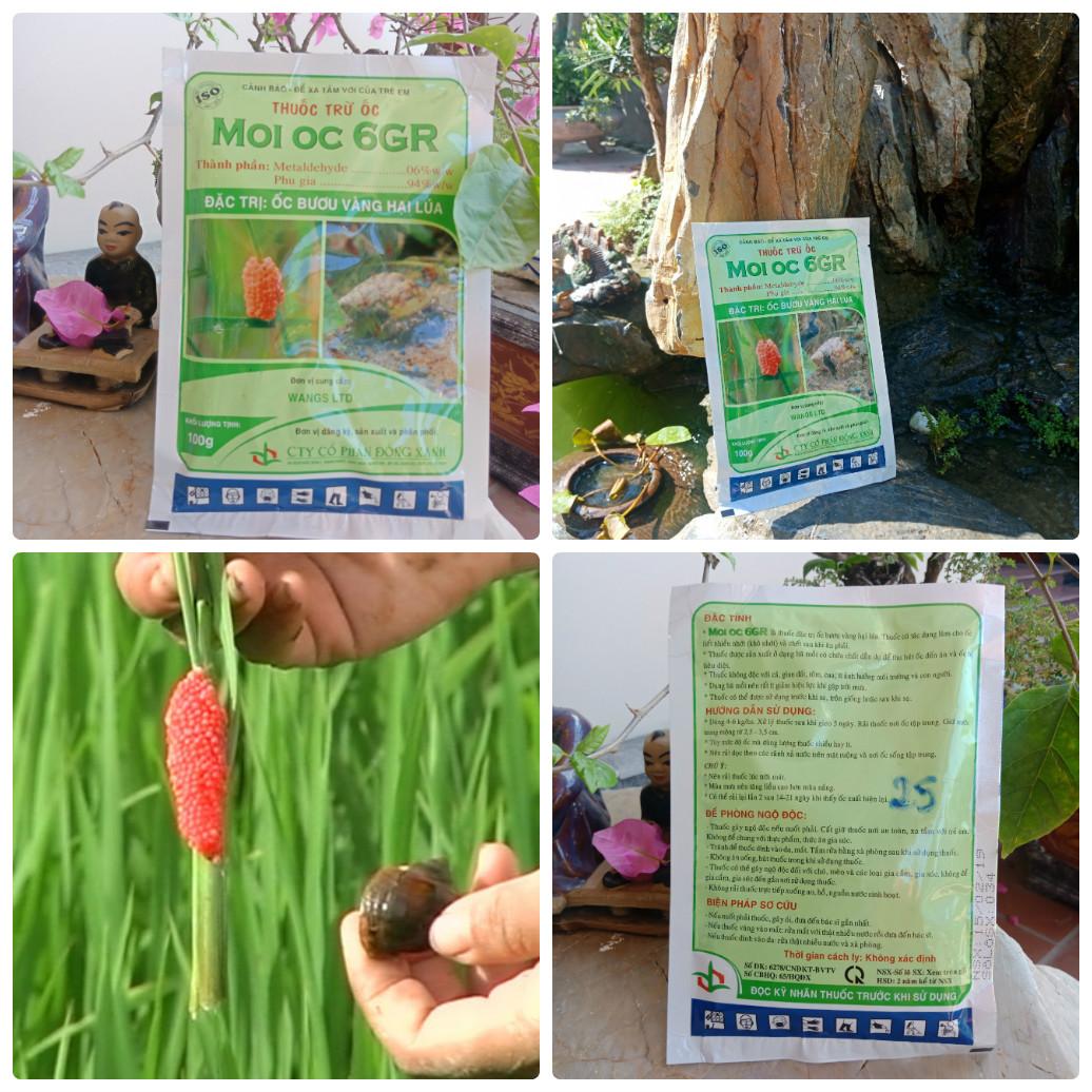 Thuốc trừ ốc Moi oc 6GR ,đặc trị ốc bươu vàng hại lúa