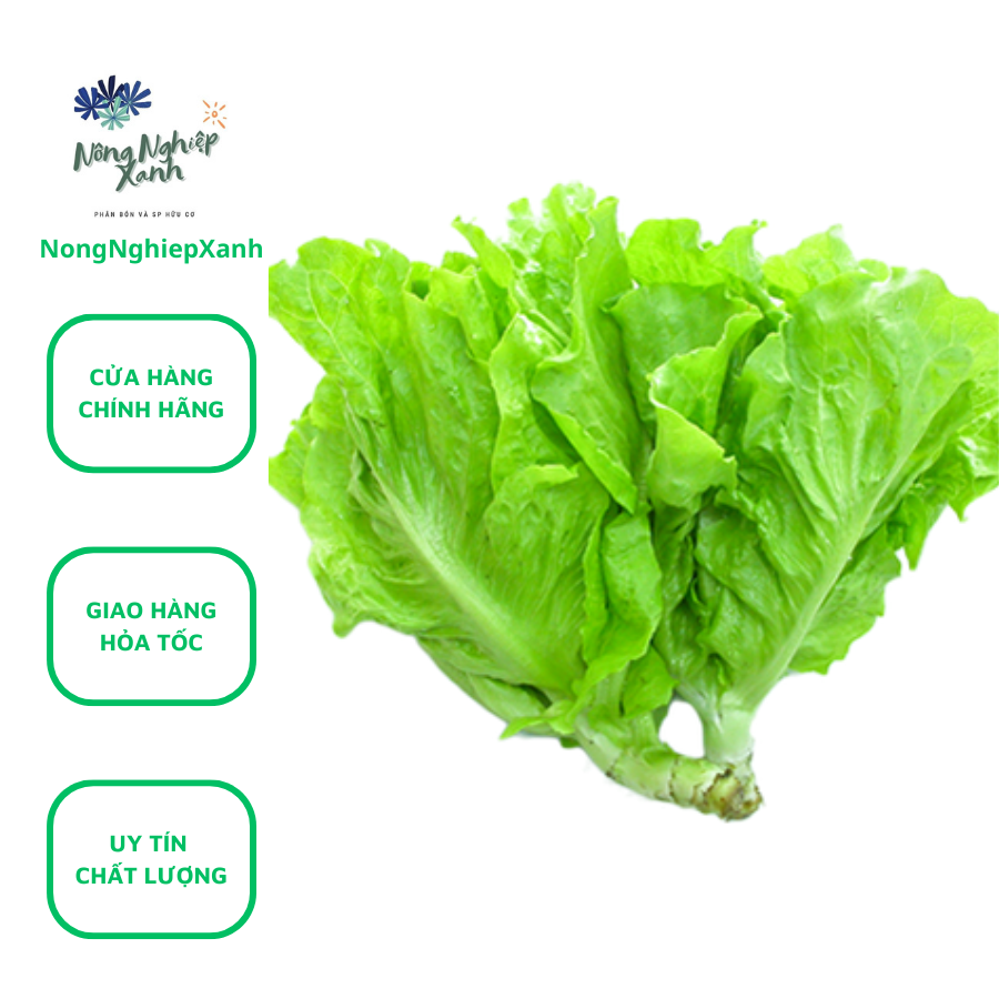 Bubble wrap 10gr hat giong vegetable style hydroponic seeds notonghiepgreen