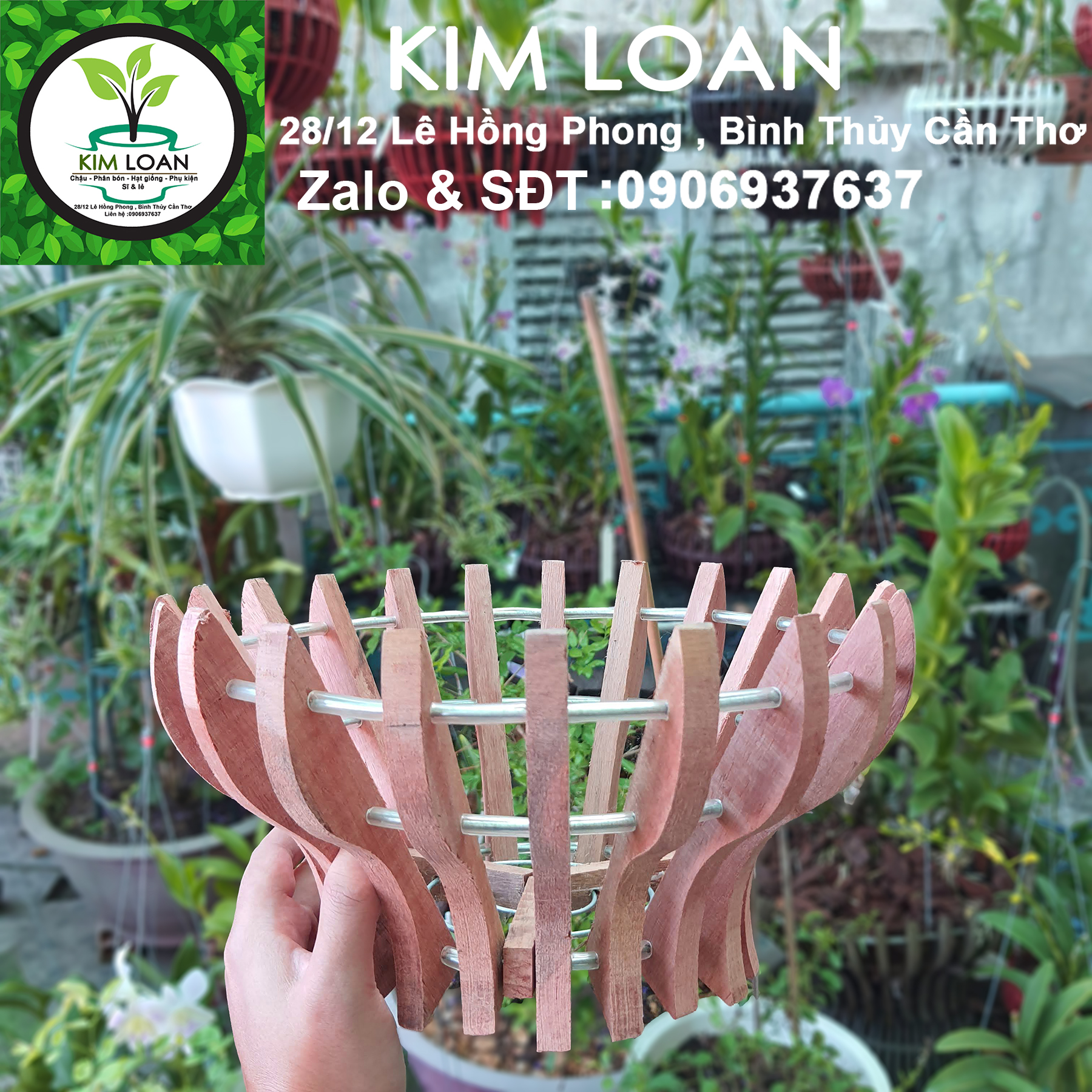 Chậu lan gỗ hình cốc