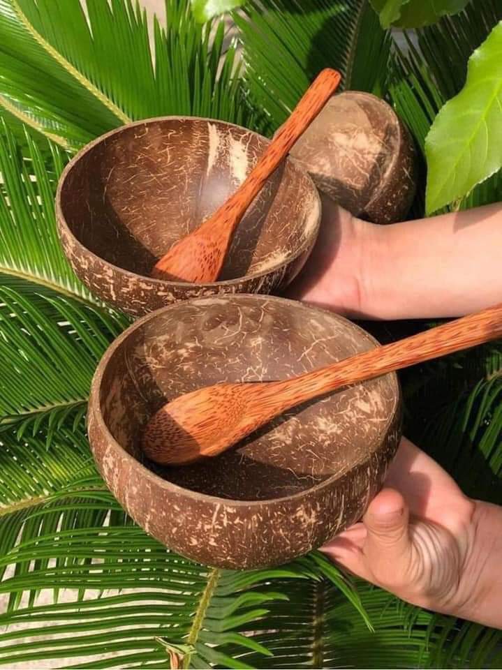 Bộ chén gáo dừa kèm muỗng gỗ