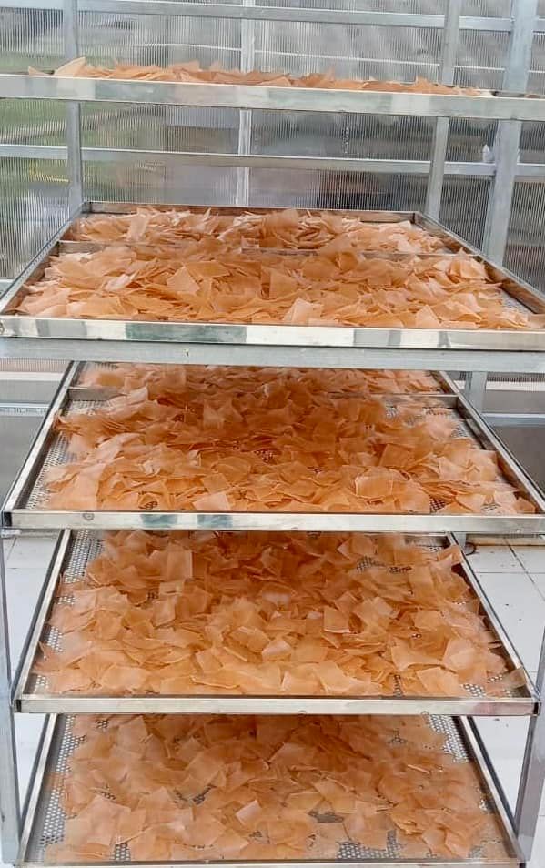Special offer 500g Ca Mau shrimp cake-Ca Mau production-snacks