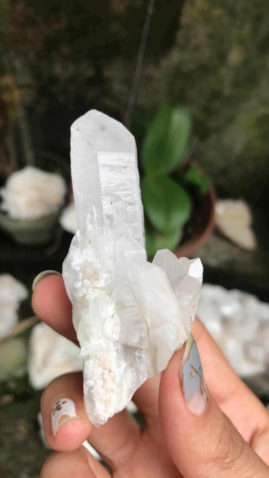 Đá Thạch Anh trắng dạng búp sưu tầm S28