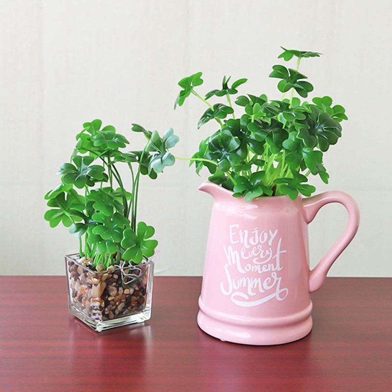 Clover Seeds (3-Leaf Grass) - Pack of 50 Seeds