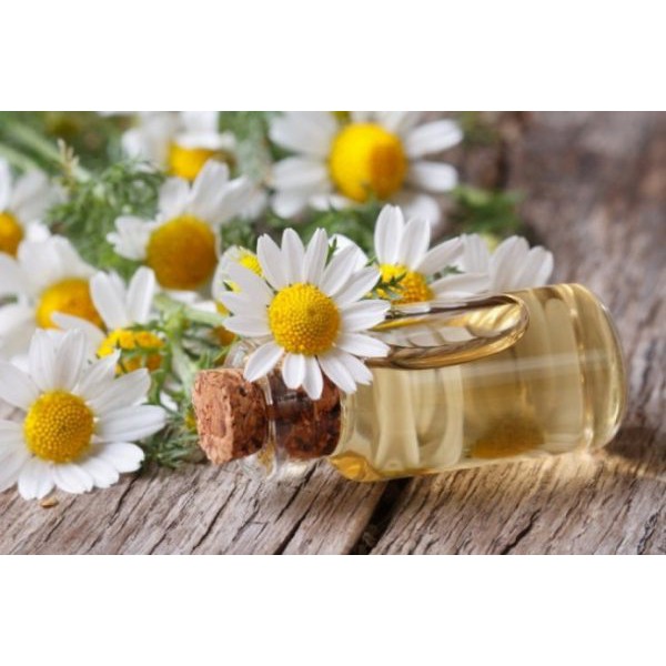 Tinh Dầu Nguyên Chất Hoa Cúc La Mã 10ml