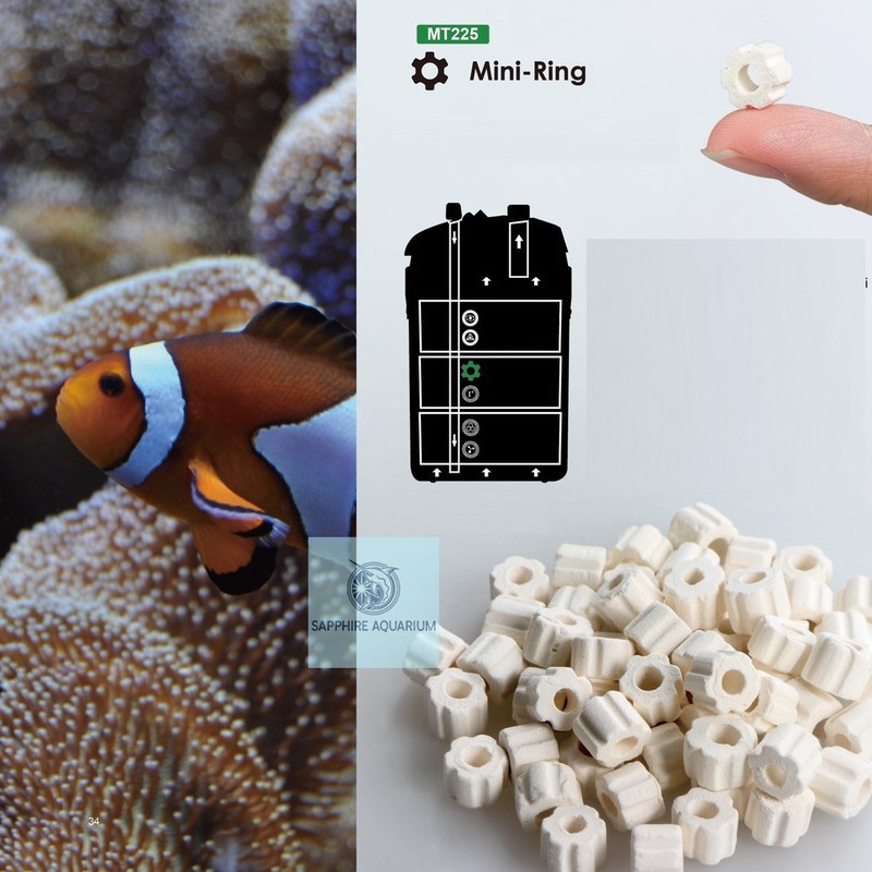 Sứ lọc cao cấp Mini Ring - Mountain Tree 580g - Hàng Công Ty